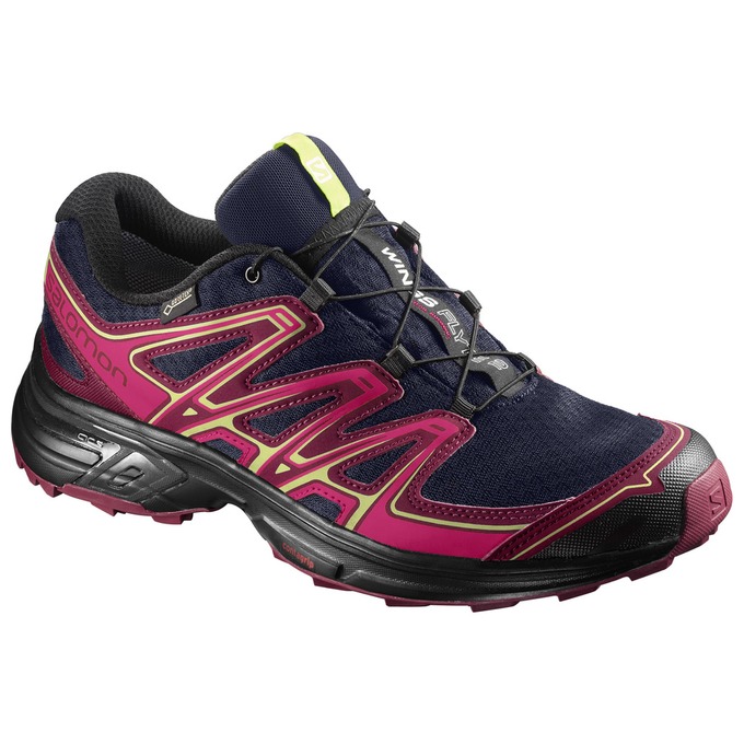 Salomon Singapore Womens Trail Running Shoes - WINGS FLYTE 2 GTX® W Pink/Navy | 45372-CSQH